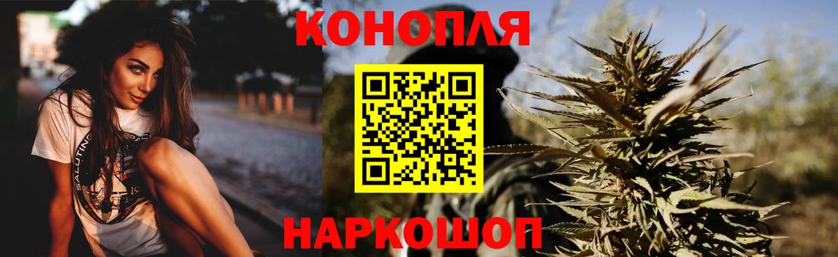 Бошки Шишки план  Каннабис план  Канабис тримм  Бошки марихуана сатива  Энгельс  Вход с VPN 
